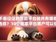 不看征信的贷款平台拢共有哪些选择？10个哪家平台黑户可以借钱详解