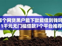 哪个网贷黑户能下款能借到钱吗？1千元无门槛借款7个平台推荐