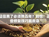 征信黑了必须熬五年？别慌！这些修复技巧能救急