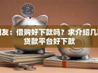 网友：借购好下款吗？求介绍几款贷款平台好下款