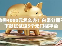 急需4000元怎么办？白条分期不下款试试这5个无门槛平台