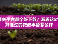 网贷平台哪个好下款？看看这8个好通过的贷款平台怎么样