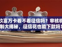 玖富万卡看不看征信吗？审核机制大揭秘，征信花也能下款吗？