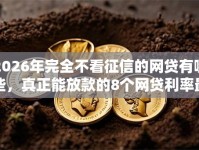 2026年完全不看征信的网贷有哪些，真正能放款的8个网贷利率最低的平台推荐