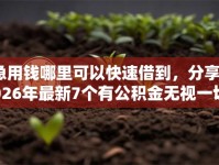 急用钱哪里可以快速借到，分享2026年最新7个有公积金无视一切的口子