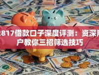 2817借款口子深度评测：资深用户教你三招筛选技巧