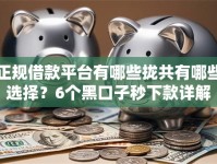 正规借款平台有哪些拢共有哪些选择？6个黑口子秒下款详解