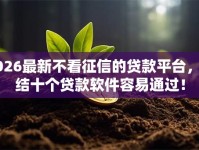 2026最新不看征信的贷款平台，总结十个贷款软件容易通过！