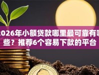2026年小额贷款哪里最可靠有哪些？推荐6个容易下款的平台