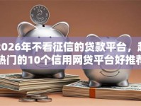 2026年不看征信的贷款平台，超热门的10个信用网贷平台好推荐