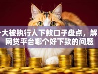 十大被执行人下款口子盘点，解决网贷平台哪个好下款的问题