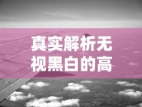 真实解析无视黑白的高炮口子有哪些？这些渠道你可能不知道！