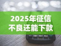 2025年征信不良还能下款的网贷渠道有哪些？实测解析