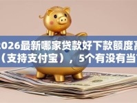 2026最新哪家贷款好下款额度高（支持支付宝），5个有没有当前逾期能下款的口子无私分享