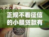 正规不看征信的小额贷款有哪些？这些靠谱渠道值得试试！