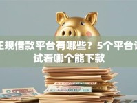 正规借款平台有哪些？5个平台试试看哪个能下款