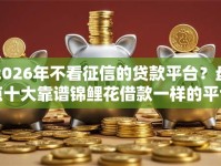 2026年不看征信的贷款平台？盘点十大靠谱锦鲤花借款一样的平台