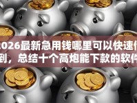 2026最新急用钱哪里可以快速借到，总结十个高炮能下款的软件！