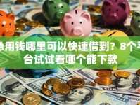 急用钱哪里可以快速借到？8个平台试试看哪个能下款