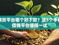 网贷平台哪个好下款？这5个手机借钱平台值得一试