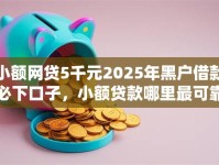 小额网贷5千元2025年黑户借款必下口子，小额贷款哪里最可靠的5个平台介绍