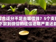 综合评分不足去哪借钱？5个支持下款到微信的征信逾期严重还能能下款平台