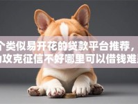 5个类似易开花的贷款平台推荐，专为攻克征信不好哪里可以借钱难题