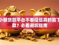 小额贷款平台不看征信真的能下款？必看避坑指南