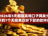 2026年5天超级高炮口子网友分享的7个无视黑白好下款的软件我觉得不错！