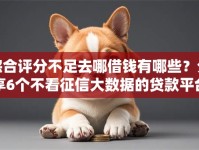 综合评分不足去哪借钱有哪些？分享6个不看征信大数据的贷款平台一定能下款