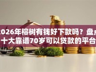 2026年榕树有钱好下款吗？盘点十大靠谱70岁可以贷款的平台