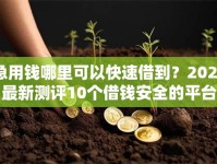 急用钱哪里可以快速借到？2026最新测评10个借钱安全的平台