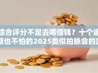 综合评分不足去哪借钱？十个逾期也不怕的2025类似拍脉会的口子