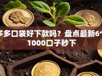 多多口袋好下款吗？盘点最新6个1000口子秒下
