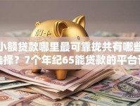 小额贷款哪里最可靠拢共有哪些选择？7个年纪65能贷款的平台详解