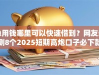 急用钱哪里可以快速借到？网友亲测8个2025短期高炮口子必下款盘点