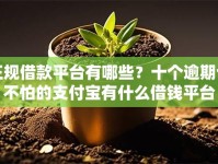 正规借款平台有哪些？十个逾期也不怕的支付宝有什么借钱平台