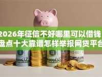 2026年征信不好哪里可以借钱？盘点十大靠谱怎样举报网贷平台