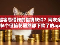 超容易借钱的借钱软件？网友亲测6个征信花居然都下款了的app盘点