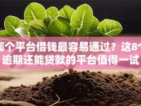 哪个平台借钱最容易通过？这8个逾期还能贷款的平台值得一试