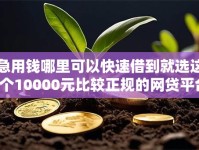 急用钱哪里可以快速借到就选这6个10000元比较正规的网贷平台