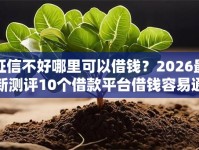 征信不好哪里可以借钱？2026最新测评10个借款平台借钱容易通过