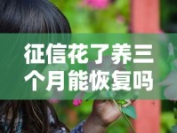 征信花了养三个月能恢复吗？过来人分享实用修复技巧