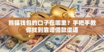 熊猫钱包的口子在哪里？手把手教你找到靠谱借款渠道