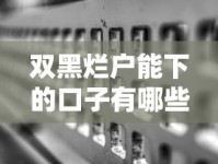双黑烂户能下的口子有哪些？真实渠道深度解析