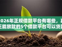 2026年正规借款平台有哪些，真正能放款的5个借款平台可以贷款推荐