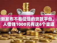 最新发布不看征信的贷款平台，私人借钱1000元有这6个渠道