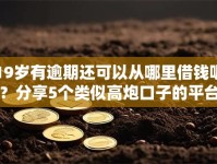 19岁有逾期还可以从哪里借钱呢？分享5个类似高炮口子的平台