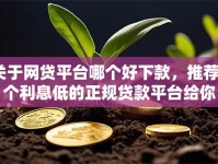 关于网贷平台哪个好下款，推荐8个利息低的正规贷款平台给你
