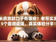 米房放款口子有哪些？老哥实测5个靠谱渠道，真实体验分享！